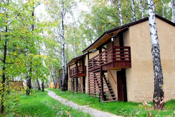 Дом у леса и пруда - Россия, Московская область, городской округ Ступино, ДНП Станица Староигнатьевская